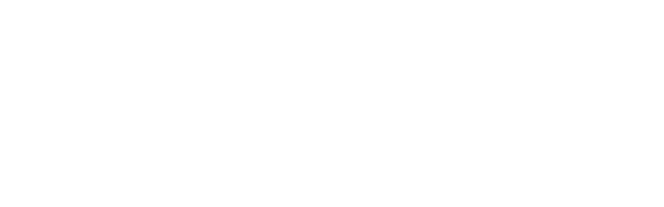 China Life 中国人寿