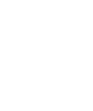 Telekom T