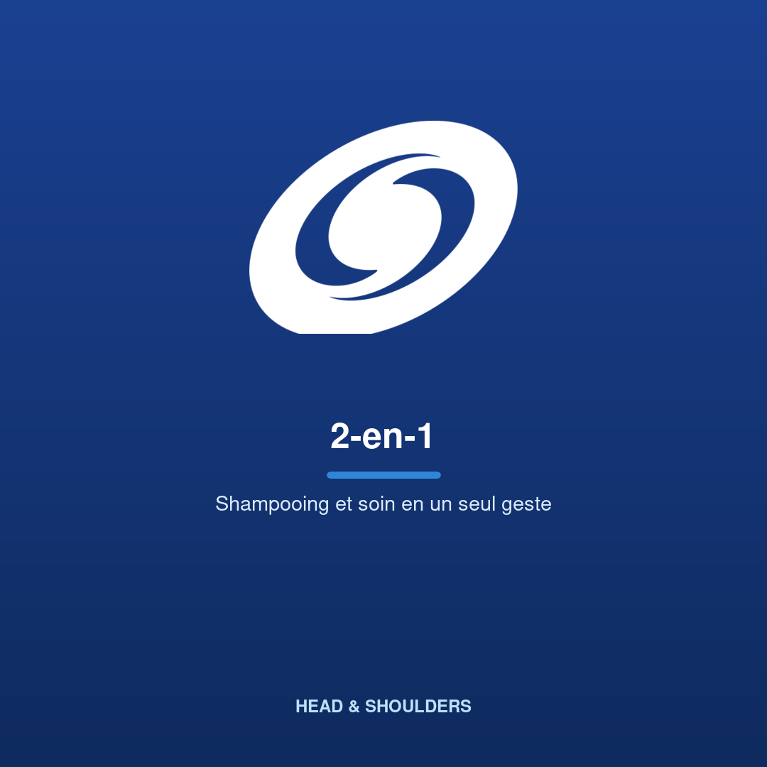 2-en-1