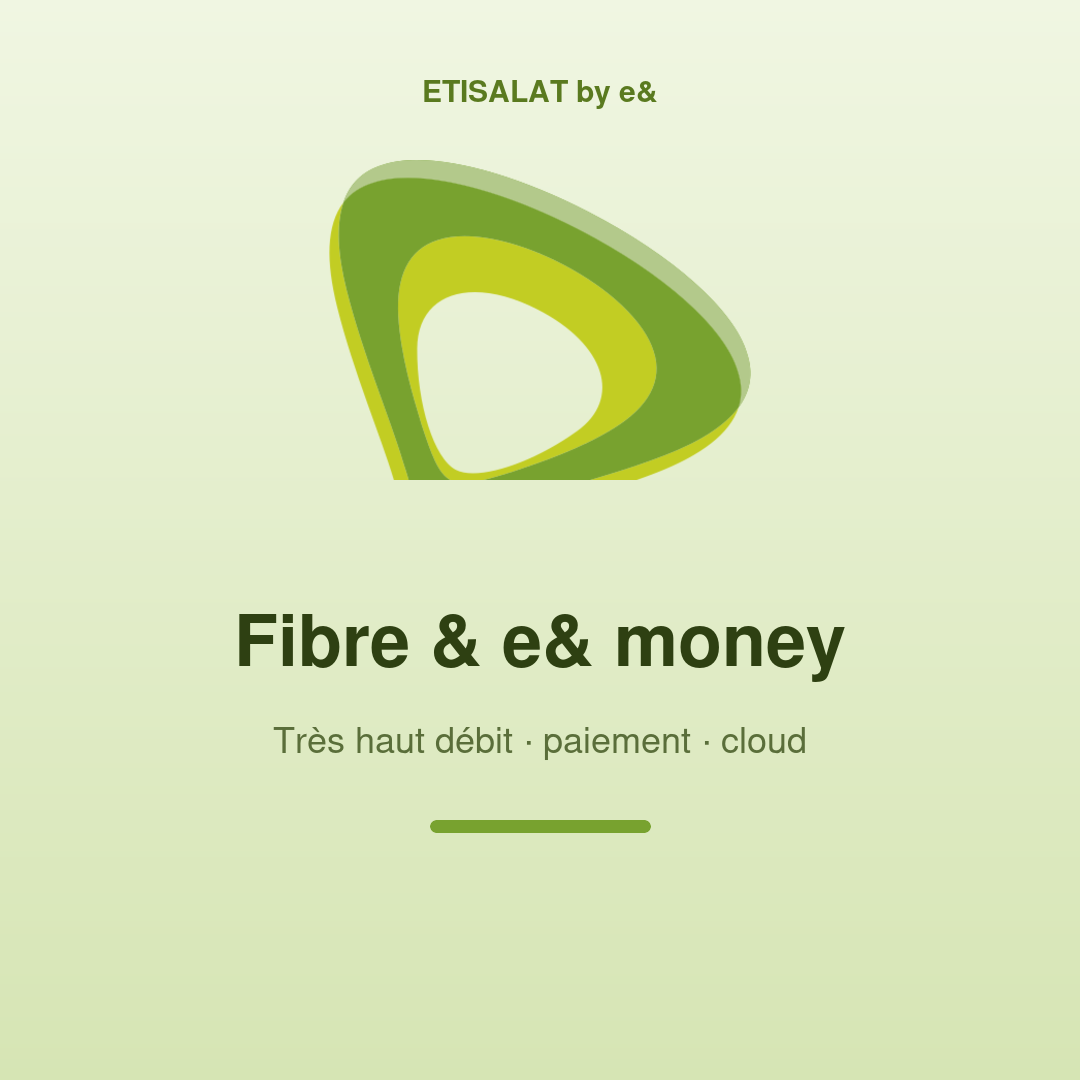 Fibre & e& money