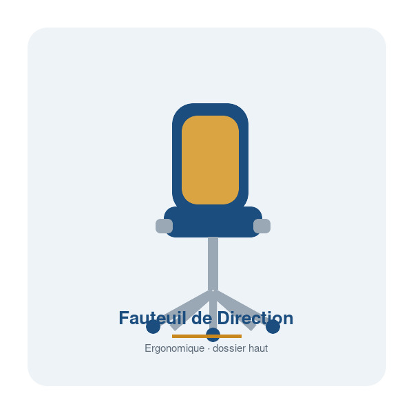 Fauteuil de Direction