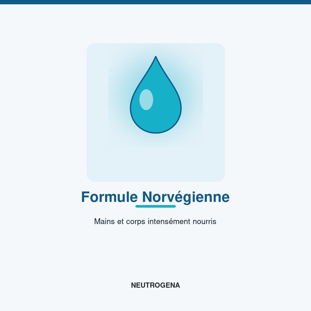 Formule Norvégienne