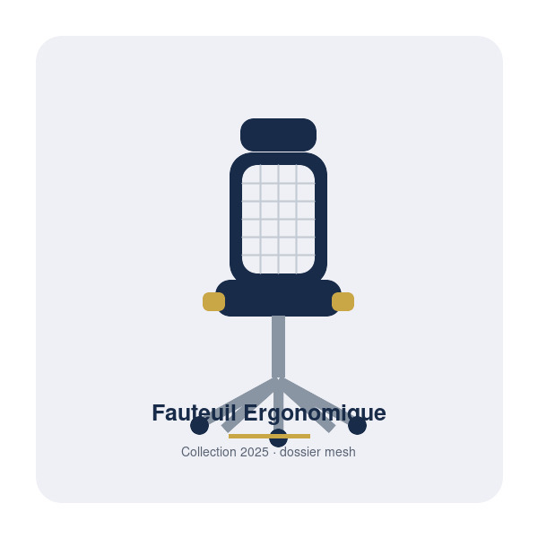 Fauteuil Ergonomique