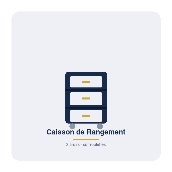 Caisson de Rangement