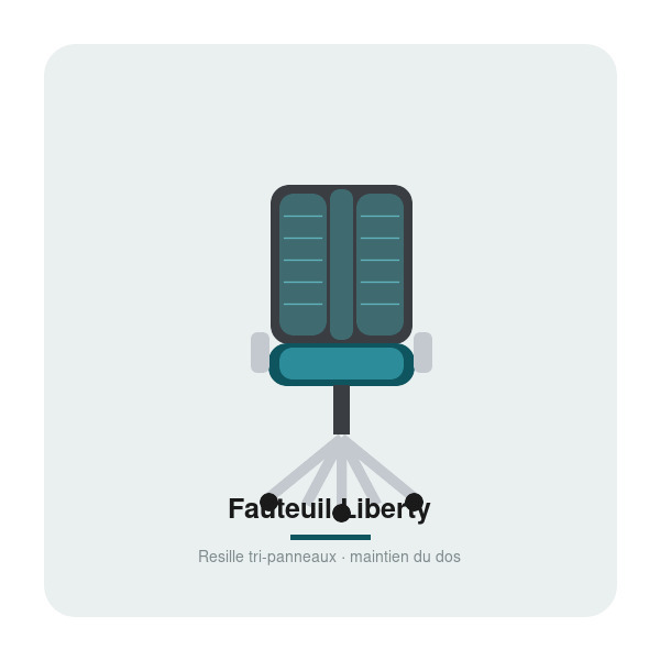 Fauteuil Liberty