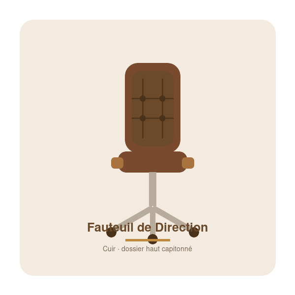 Fauteuil de Direction
