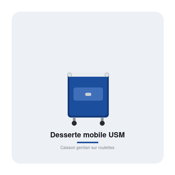 Desserte mobile USM