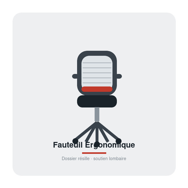 Fauteuil Ergonomique