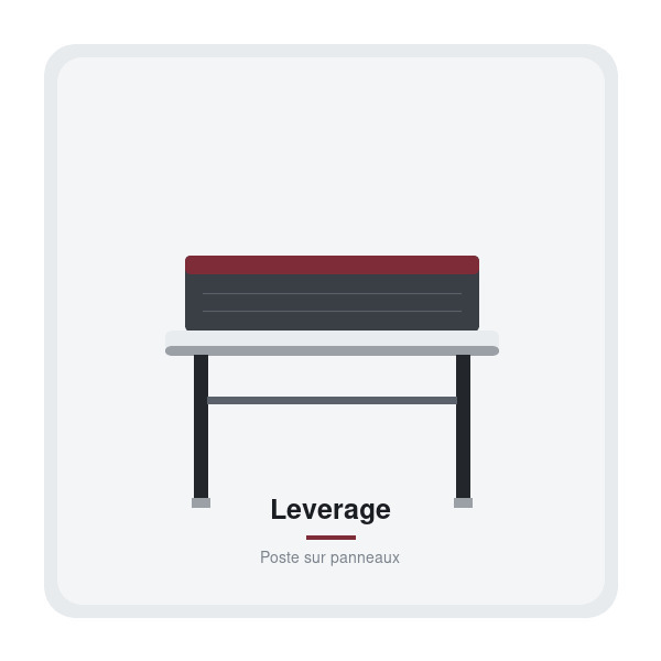 Leverage