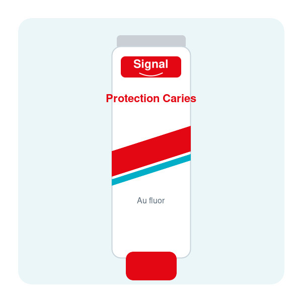 Dentifrice Protection Caries