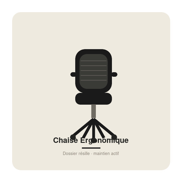 Chaise Ergonomique