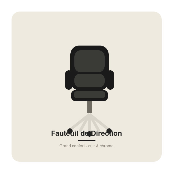Fauteuil de Direction