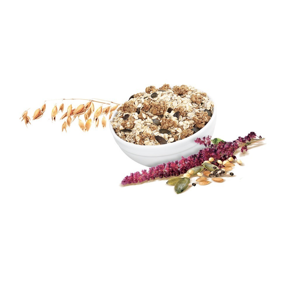 Seed Muesli