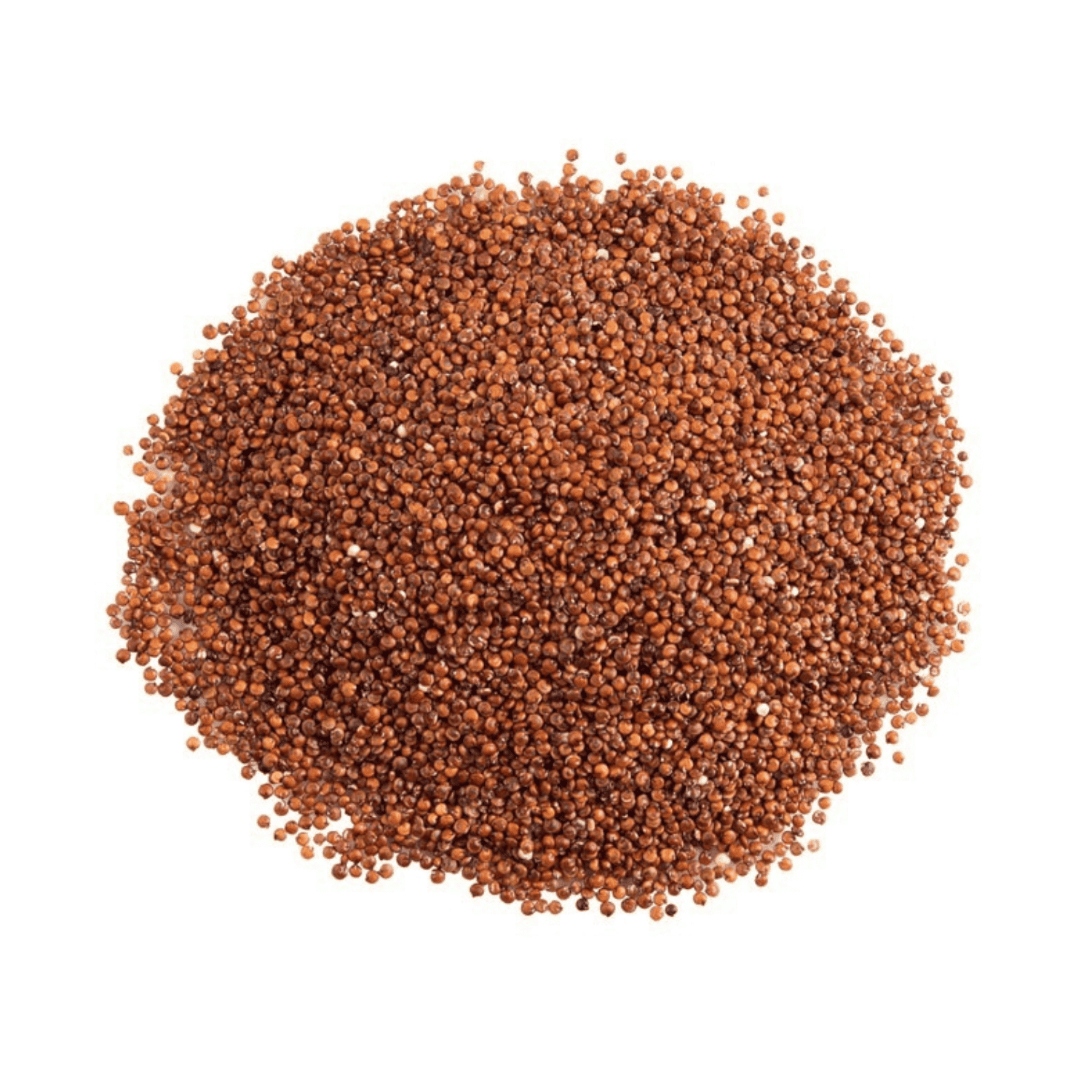 Graines de Quinoa Blanc 450 g 2