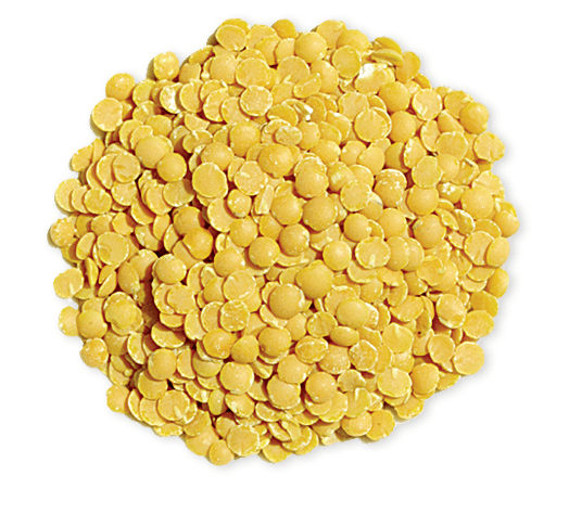 Fève 500 gr 2