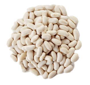 Fève 500 gr 3