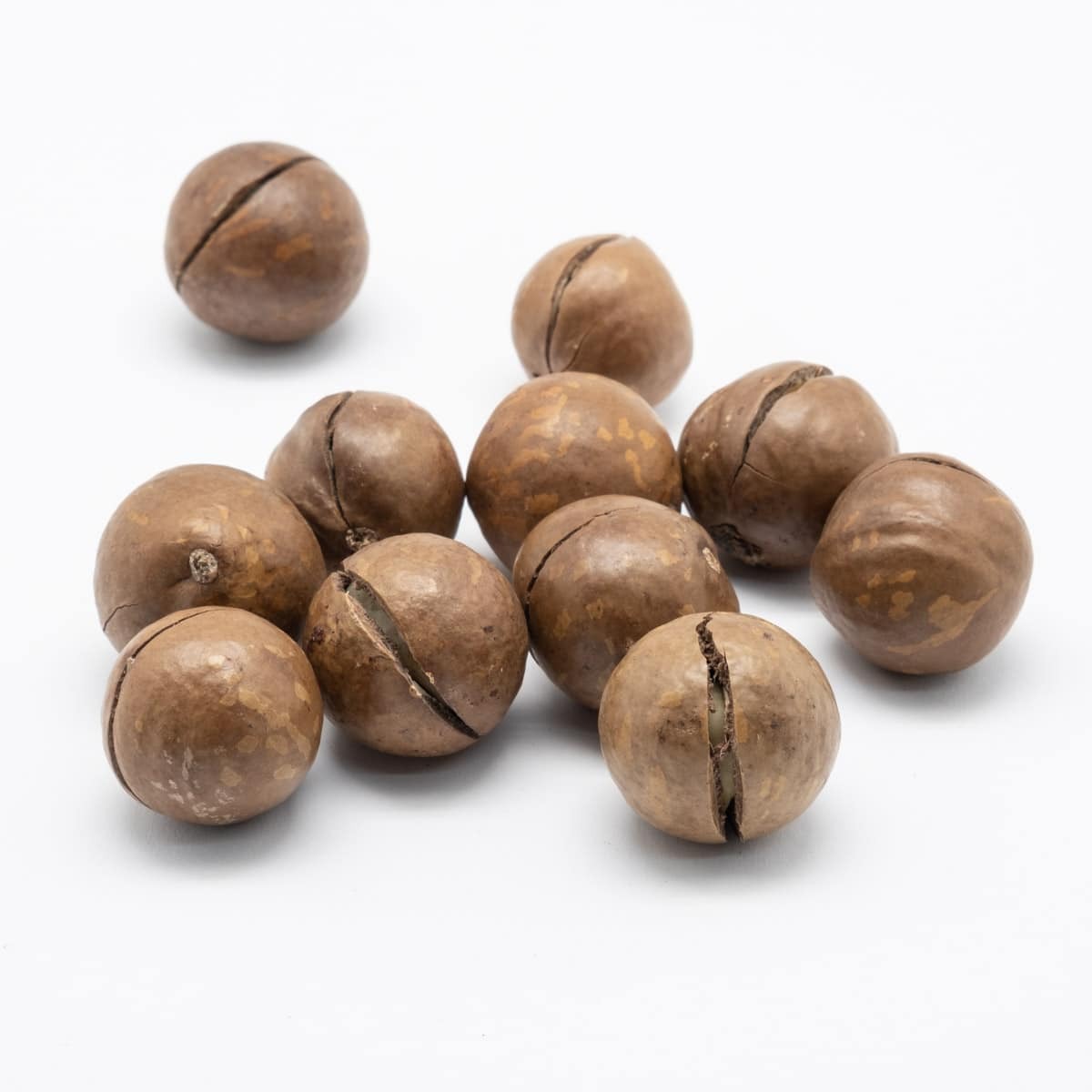 Noix de Macadamia Grillées en Coques 1 kg