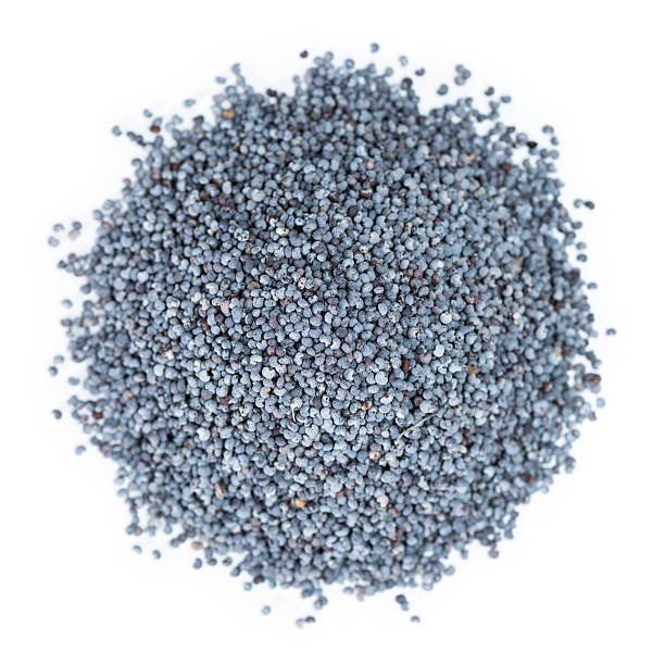 Graines de Quinoa Blanc 450 g 4