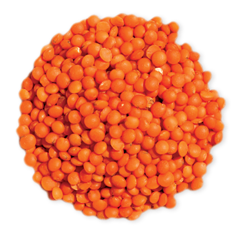 Lentille Rouge 10 kg