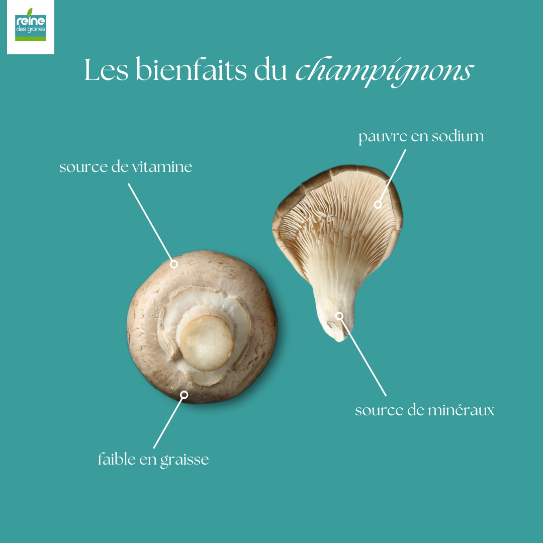 Champignons grillés 200g 4